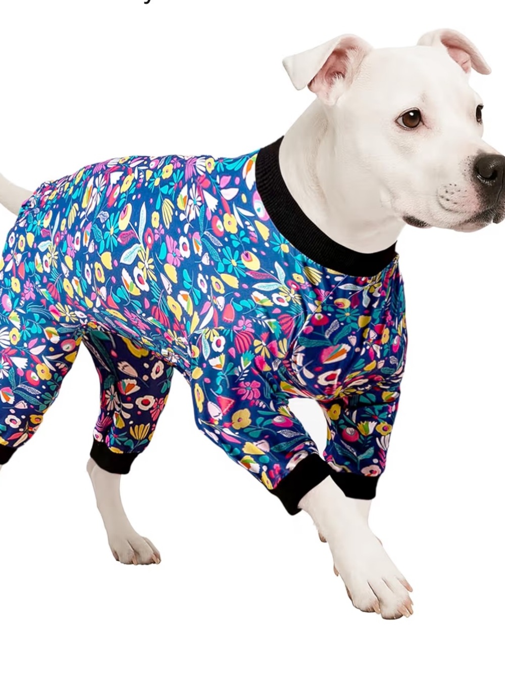 NWT Floral Blue Dog Pajamas with Black Trim-Medium